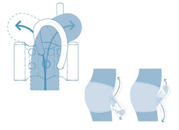 sistema reprodutivo adolescente