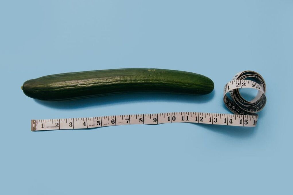 Medição do tamanho do pênis usando o exemplo de um pepino
