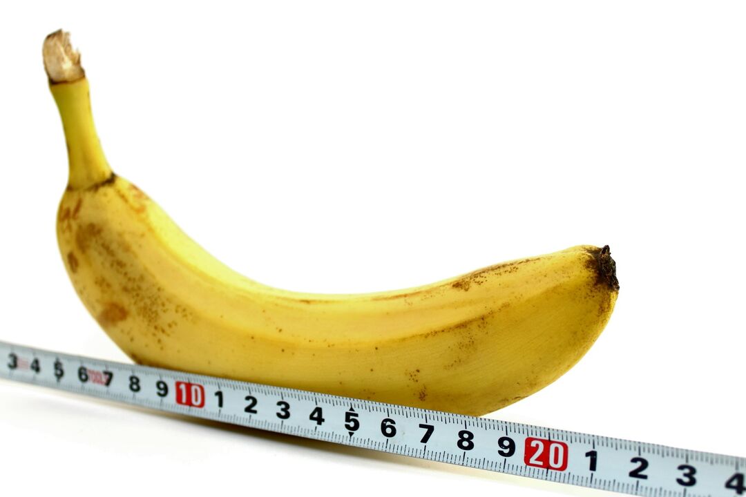 O tamanho do pênis no exemplo de uma banana